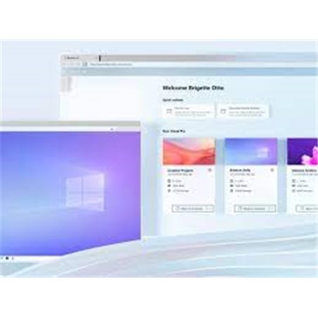 Windows 365 bus 4 vcpu 16 gb 128 gb