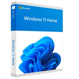 windows home 11 32/64bit esp usb