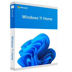 windows home 11 32/64bit esp usb