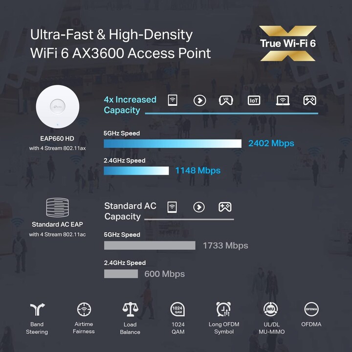 WLAN-TP-LINK-ZUGANGSPUNKT EAP650
