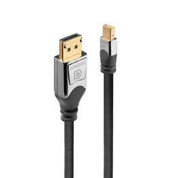 Mini displayport chromé de 0,5 m vers dp c