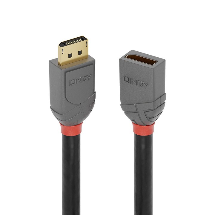 Lindy 36497 cabo DisplayPort 2 m Preto