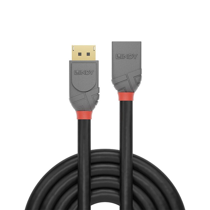 Lindy 36497 cabo DisplayPort 2 m Preto