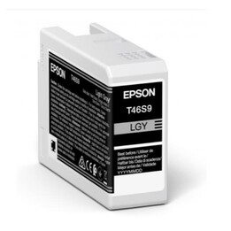 Epson UltraChrome Pro cartuccia d'inchiostro 1 pz Originale Grigio chiaro