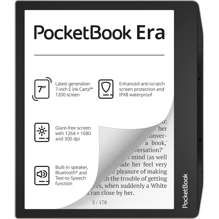 Pocketbook Stardust Silber