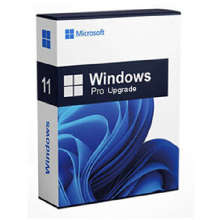 windows 11 pro upgrade