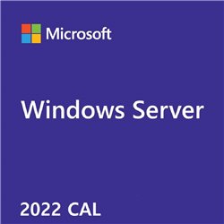 Serveur Windows 2022 - chaux