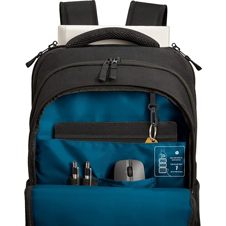 Hp prof 17.3 laptop bckpck