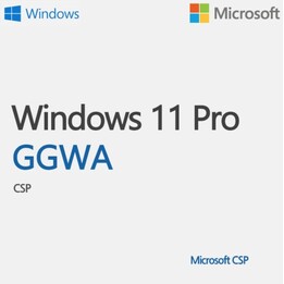 windows ggwa windows 11 pro lgg