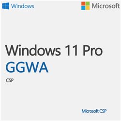windows ggwa windows 11 pro lgg