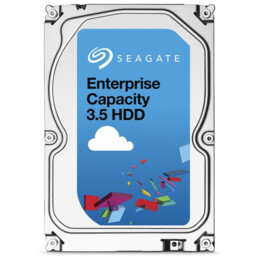 Seagate Enterprise Capacità 1 TB 3,5" SATA 3 512n - DDisco Rigido
