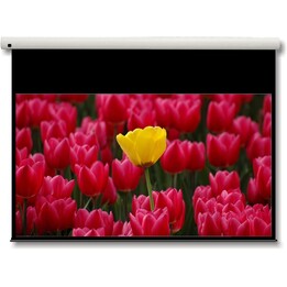 Optoma - Schermo di proiezione DE-9092EGA da 2,34 m (92") 16:9