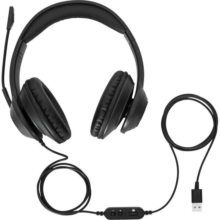 Targus AEH102GL auricular y casco Auriculares Alámbrico Diadema Llamadas/Música USB tipo A Negro