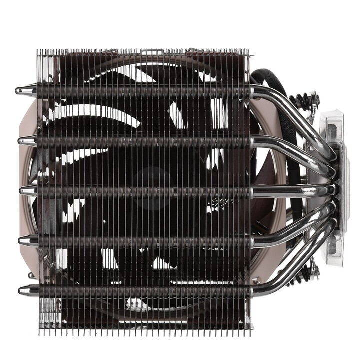 Noctua Nh-D12L Cpu Kühlung