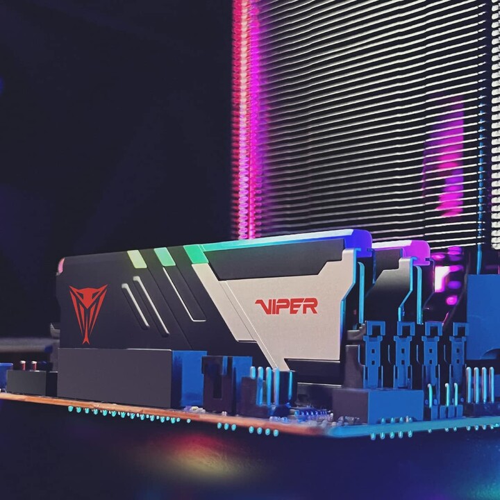 Patriot Memory Viper Venom PVVR532G600C36K Memory Module 32GB 2 x 16GB DDR5 6000MHz ECC