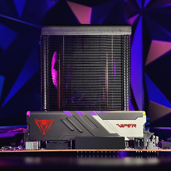 Patriot Memory Viper Venom PVVR532G600C36K Memory Module 32GB 2 x 16GB DDR5 6000MHz ECC