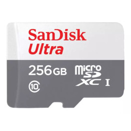 Sandisk Ultra Microsdxc 256 Go 100 Mbps A1 Cl10 Uhs-I