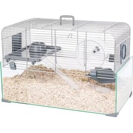 Zolux Panas Gabbia metallo plastica / vetro, 50 x 35 x 29 cm, grigio