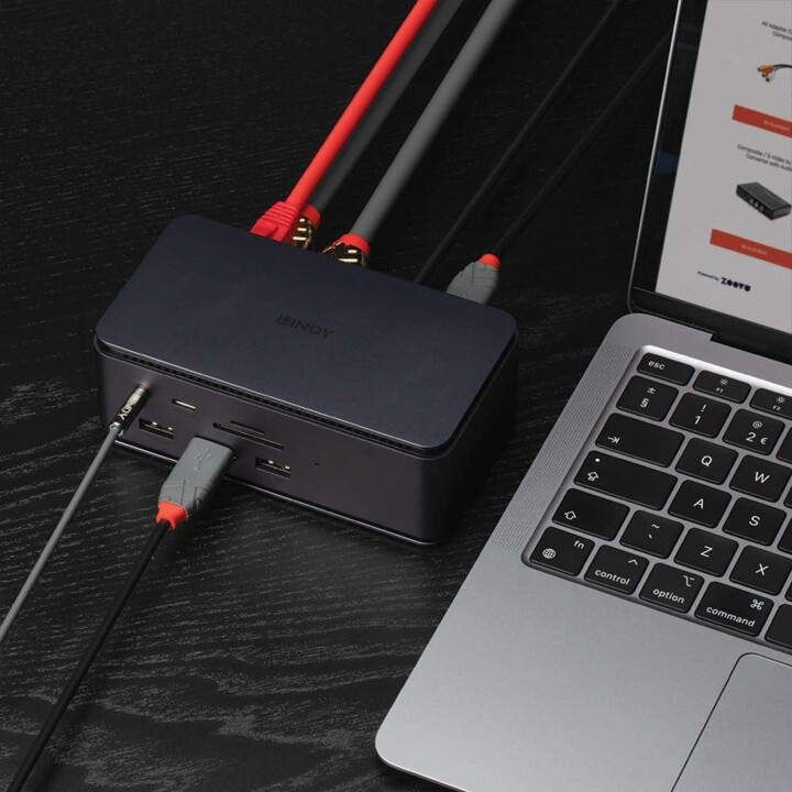 Lindy DST-Pro Docking Station Antracite