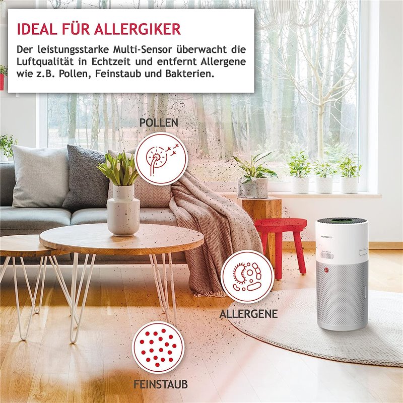 Hoover HHP 50 CA 011 H-Purifier 500