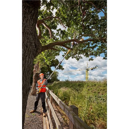 DEWALT DCMPS567N-XJ Élagueuse sur perche XR 18V