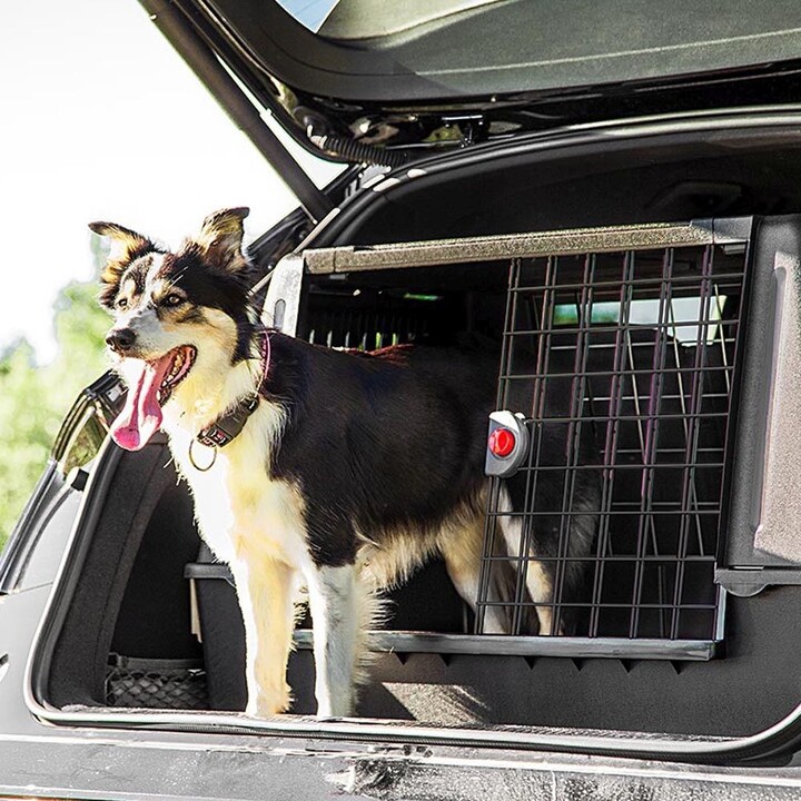 FERPLAST Atlas Car 100 Scenic, transportador de coches para animales