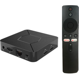 Q5 iATV H313 2GB 8GB Dual Wifi Android 10