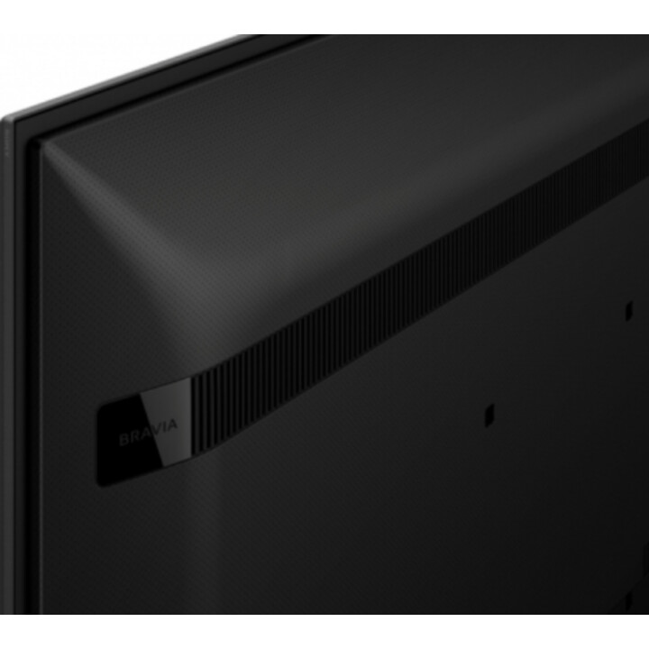 Sony Flachbildschirm Digital Signage FW-55BZ40L 55 Schwarz
