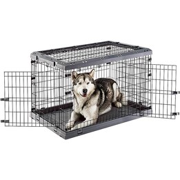 Cage pour chien Ferplast Superior 105 107 X 77 X 73.5 Cm, Noir