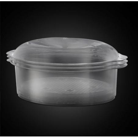 RUSSELL HOBBS Cook@Home 19270-56 cocina de vapor 9 l 800 W Plata, Negro