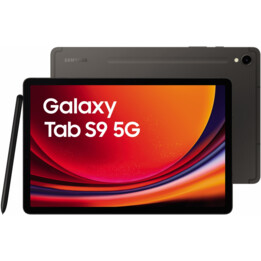 Samsung Galaxy Tab S9 X716 8GB 128GB 5G Cinza