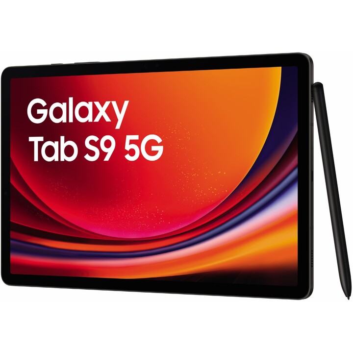 Samsung Galaxy Tab S9 X716 8GB 128GB 5G Grigio