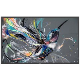 Philips Q-Line 32BDL3650Q Monitor 32" Nero