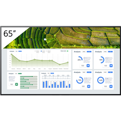 Sony FW-65BZ30L tela plana para sinalização digital 65 "Preto 