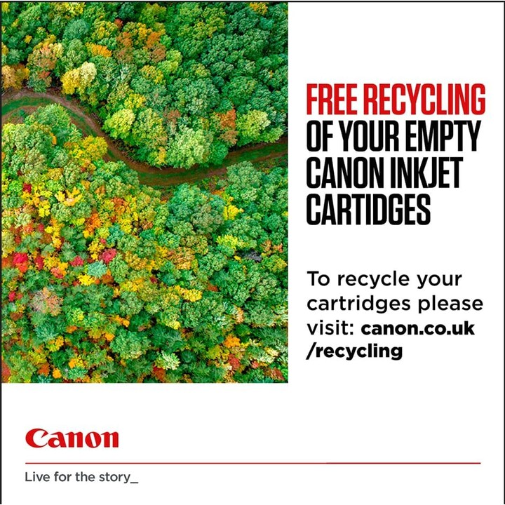 Canon Cartucho De Tinta PG-545 8ML Negro