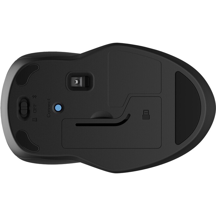 HP 250 Dual-Maus