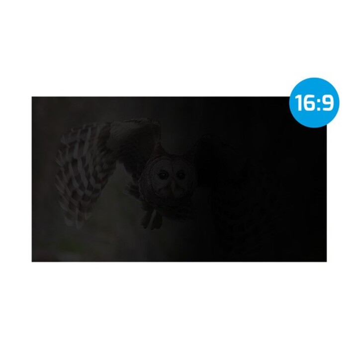 NATEC PRIVACY FILTER OWL 27" 16:9