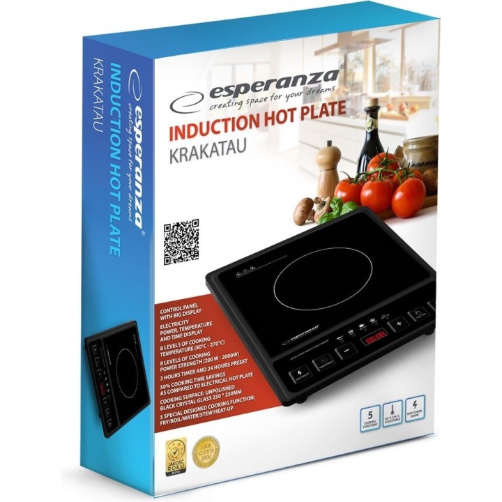 Esperanza EKH011 Schwarz er Induktionsherd