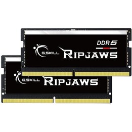 G.Skill Ripjaws F5-4800S4039A16GX2-RS módulo de memoria 32GB 2 x 16GB DDR5 4800 MHz